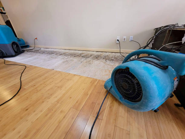 Professional Flood Damage Cleanup technician working in Rossville, GA